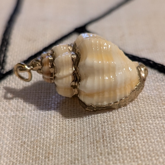 Small conch shell pendant - Picture 1 of 4